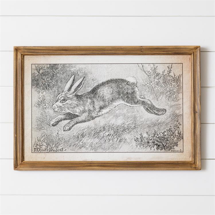 Leaping Hare Framed Print